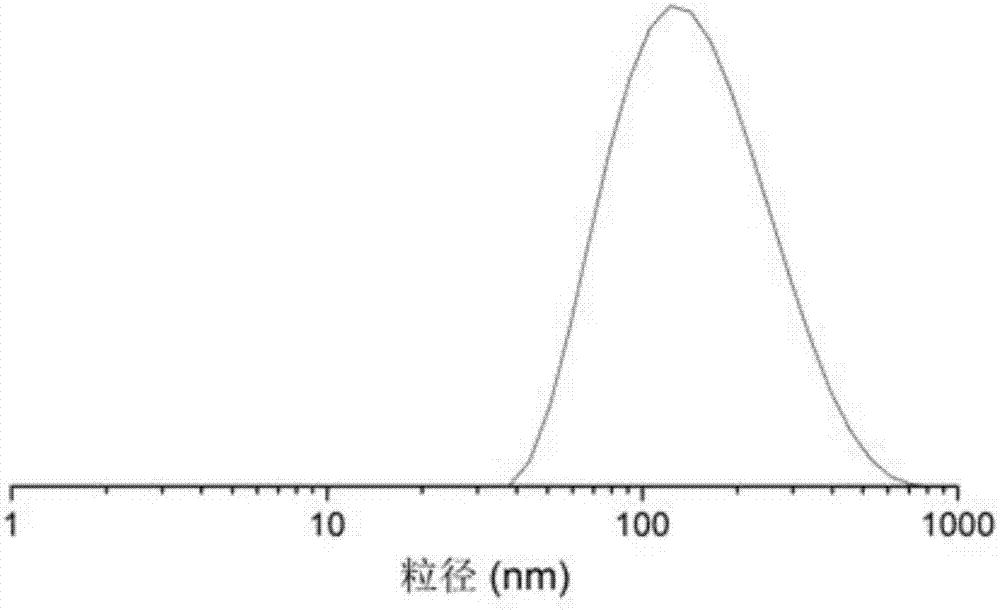 Long-circulating liposome freeze-drying oral preparation of magnolia cortex total phenol and preparation method of freeze-drying oral preparation