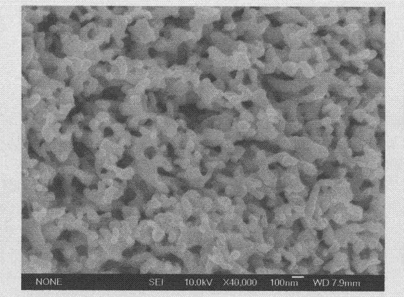 Method for preparing nano porous copper by adopting Cu-Zn alloy