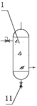 Water purification device for purifying raw water