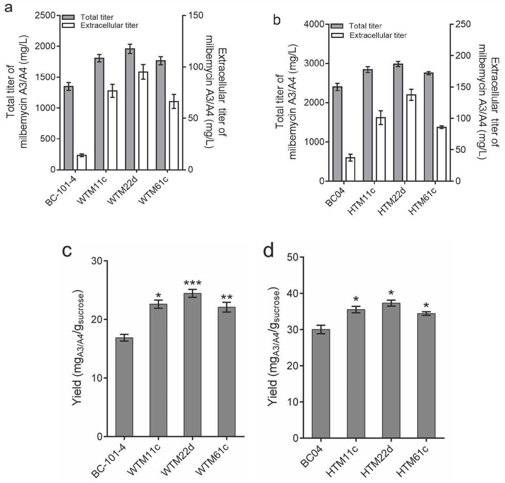 Recombinant vector and recombinant bacterium for improving yield of macrolide antibiotics and application of recombinant vector and recombinant bacterium