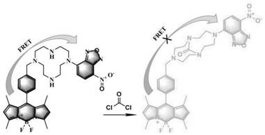 Two-photon probe based on fluorescence energy resonance transfer mechanism and application