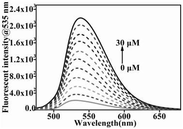 Two-photon probe based on fluorescence energy resonance transfer mechanism and application