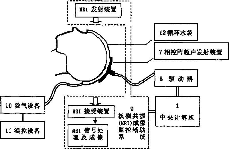 Conformal ultrasonic system for enforcing medicaments to permeate blood brain barrier