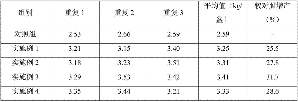 Functional soil conditioner and preparation method thereof