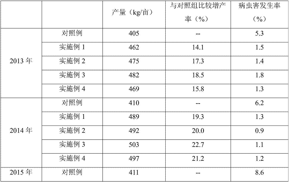 Functional soil conditioner and preparation method thereof