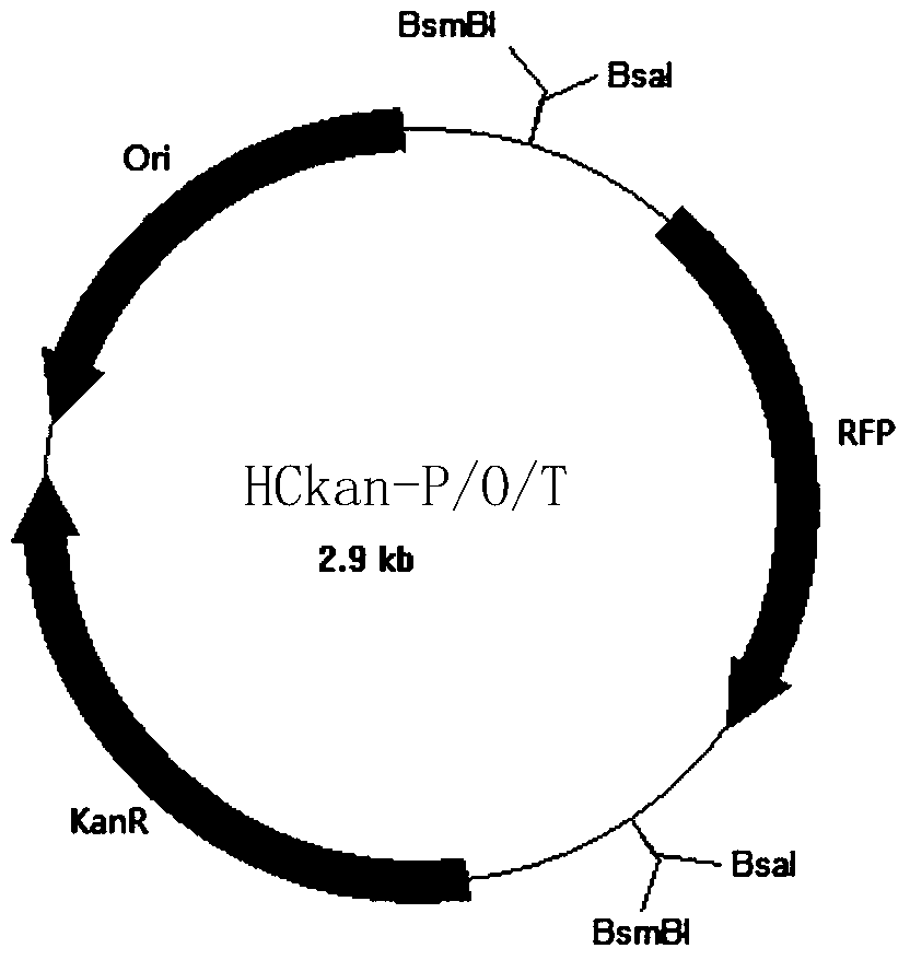 Design and construction methods of standardized biological components and their applications