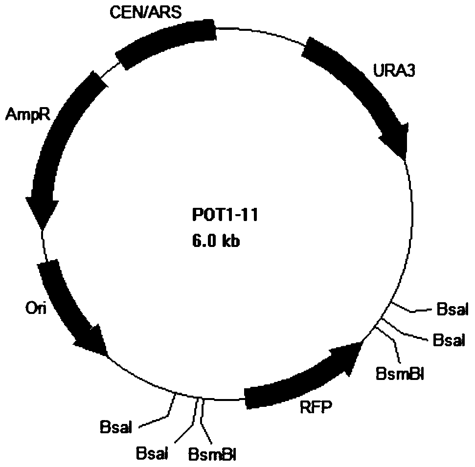 Design and construction methods of standardized biological components and their applications