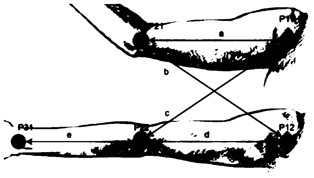 Limb rehabilitation training auxiliary method and system, medium and equipment