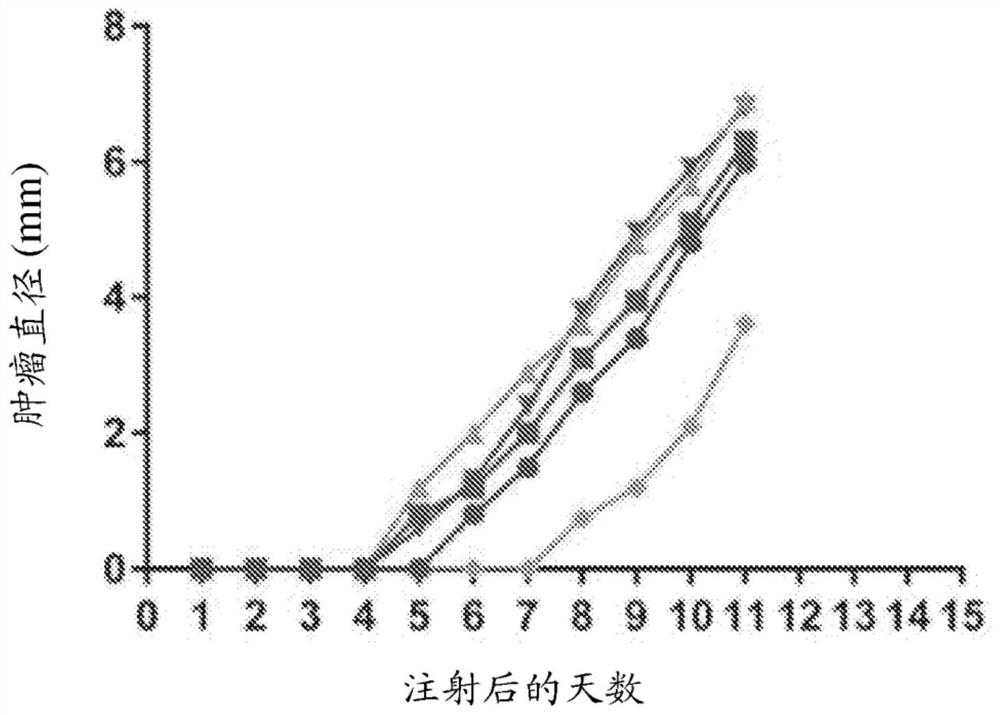 Conjugated virus-like particles and uses thereof as Anti-tumor immune redirectors