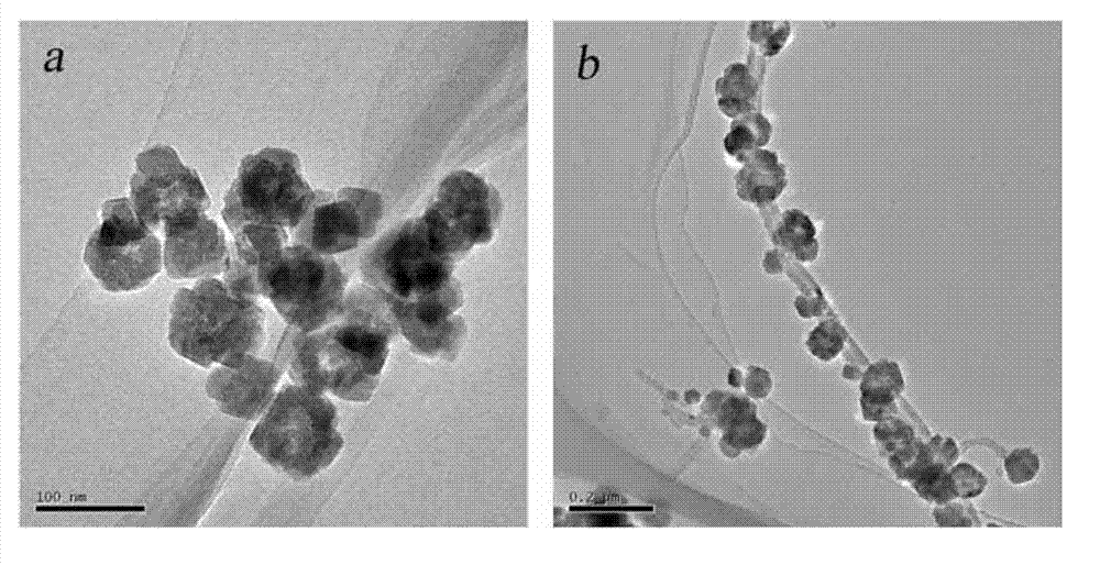 Magnetic carbon nanotube composite material and preparation method and application thereof