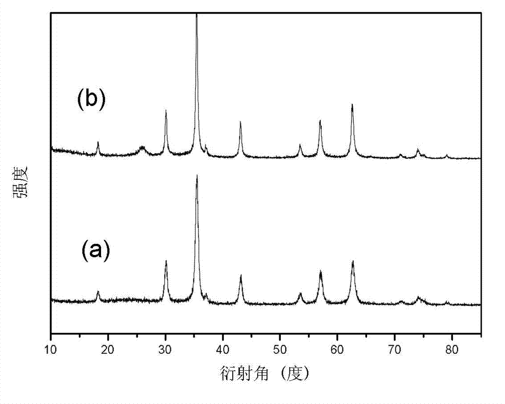 Magnetic carbon nanotube composite material and preparation method and application thereof