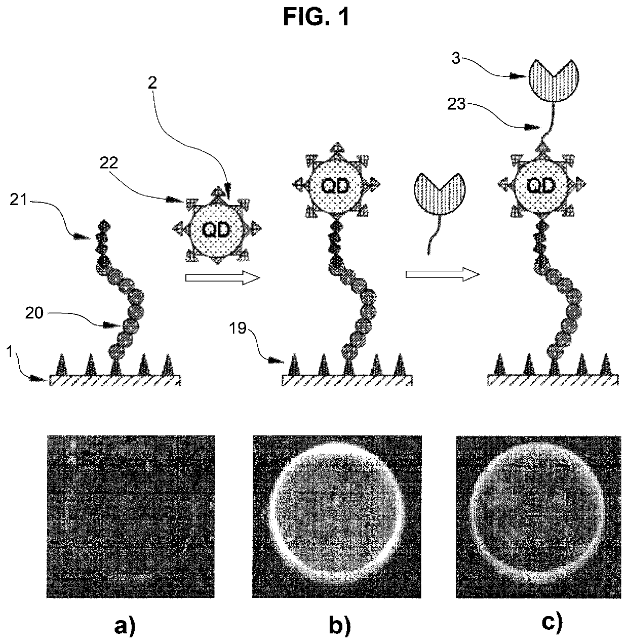 Selective optical detection of organic analytes in liquids