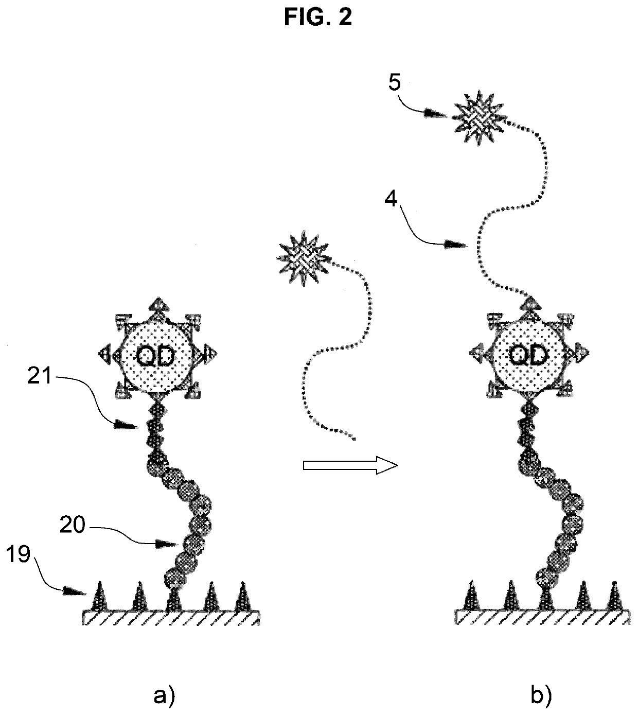 Selective optical detection of organic analytes in liquids