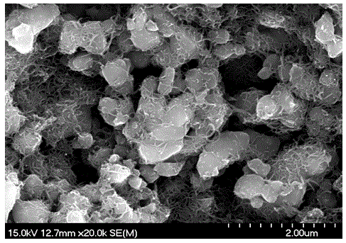 CNT-containing lithium ion battery waterborne positive electrode paste and preparation method therefor