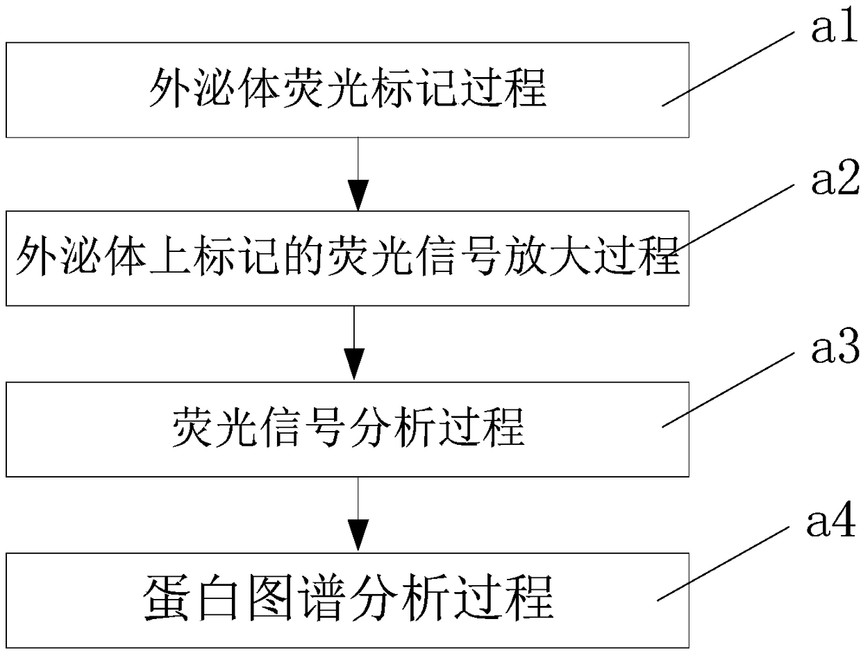 Micro-nano particles detection system and method thereof