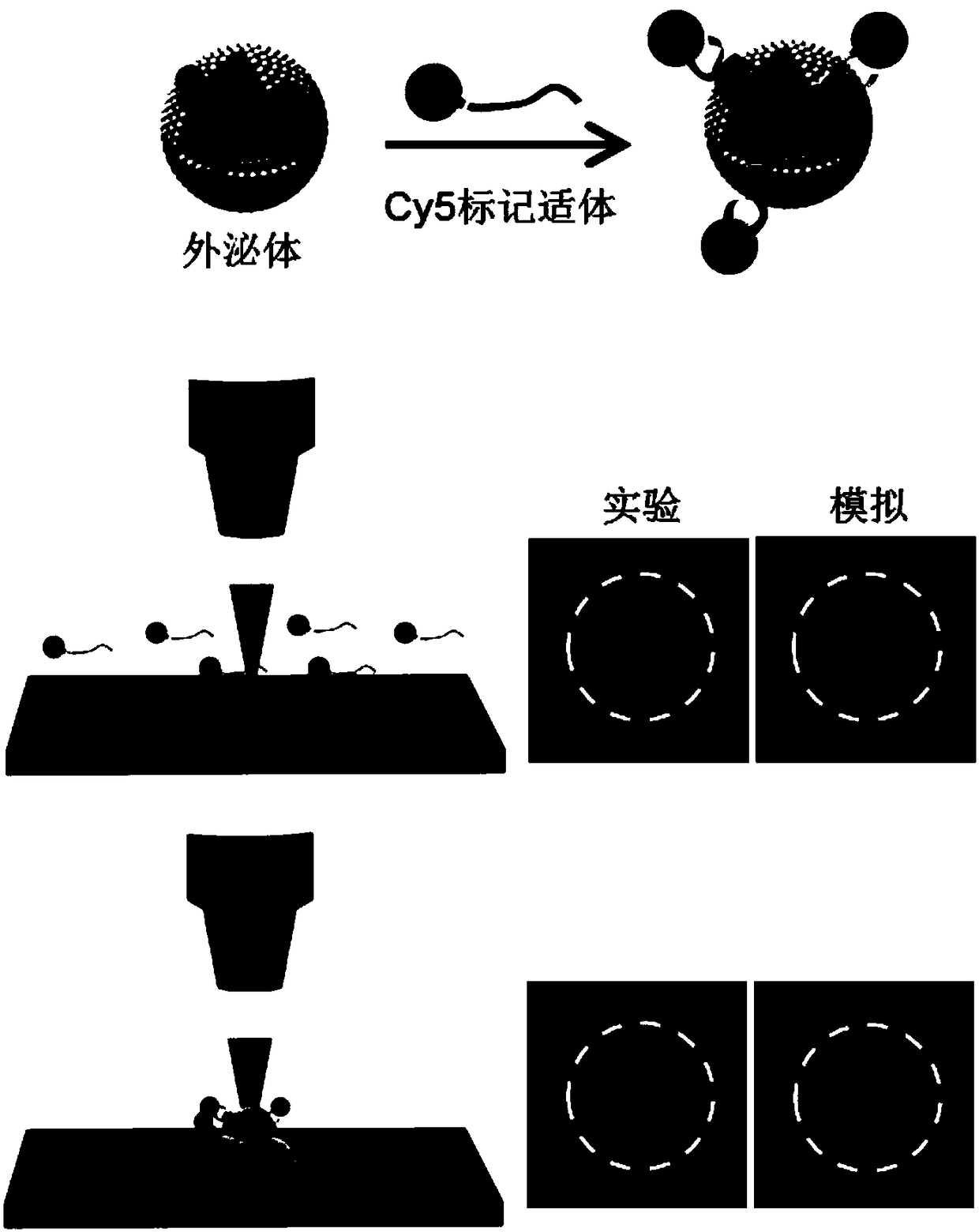 Micro-nano particles detection system and method thereof