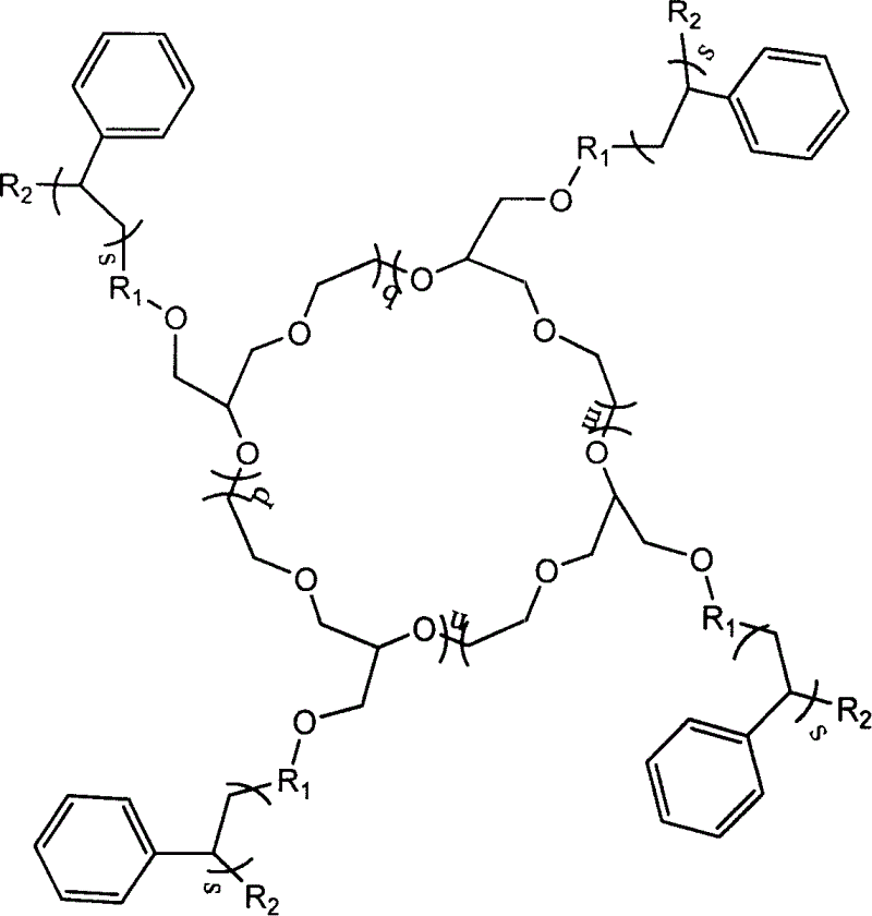 Amphiphilic macrocyclic polymer and preparation method