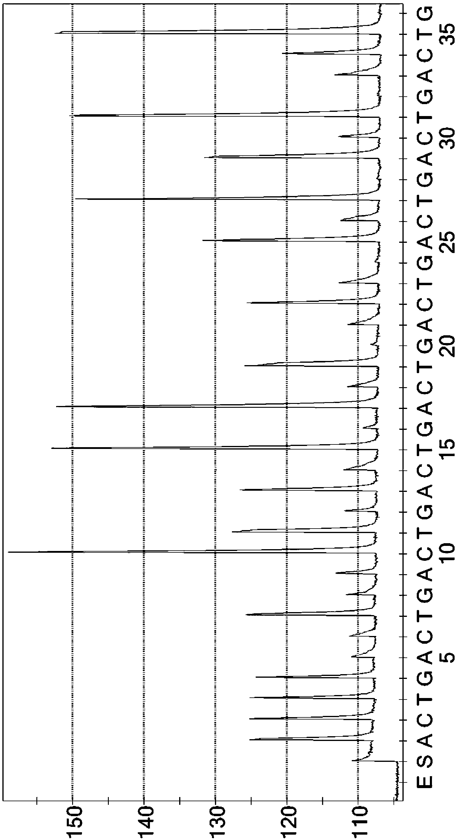 Method for detecting cryptosporidium by using pyrosequencing technology