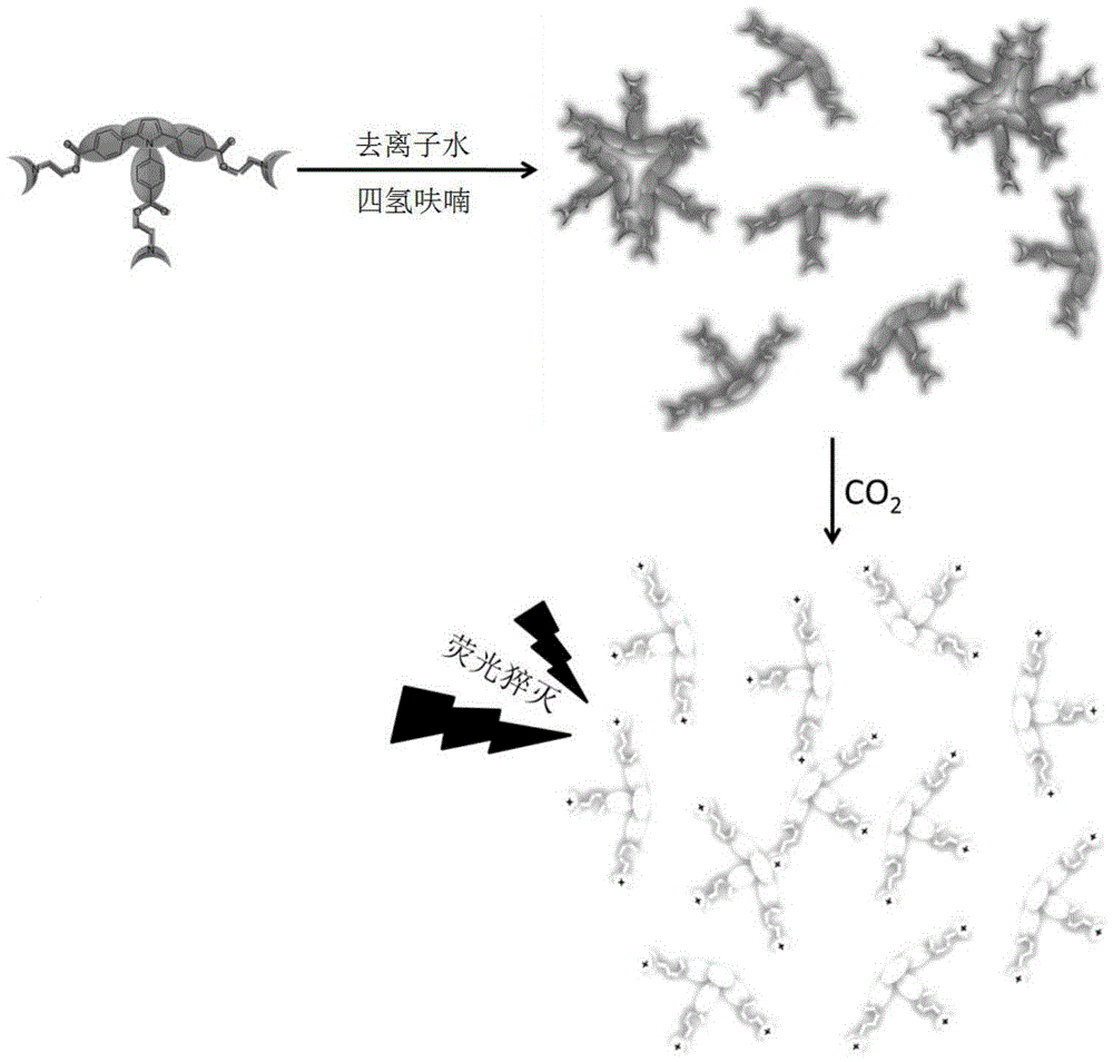 Fluorescent reagent for detecting trace carbon dioxide and preparation method thereof