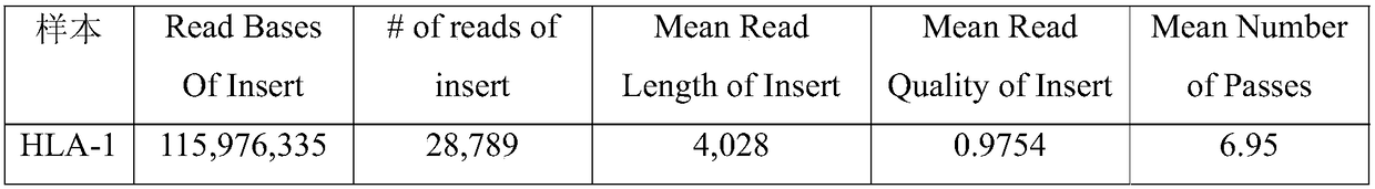 A HLA typing method based on pacbio RS II sequencing platform