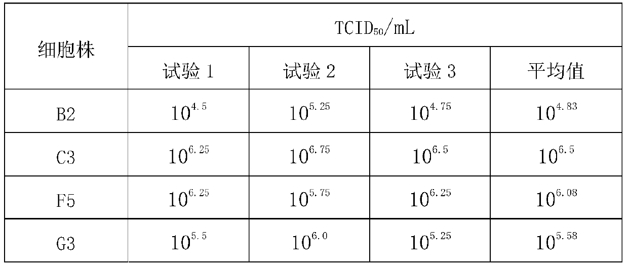 A method for screening mdbk cell lines susceptible to bovine viral diarrhea/mucosal virus