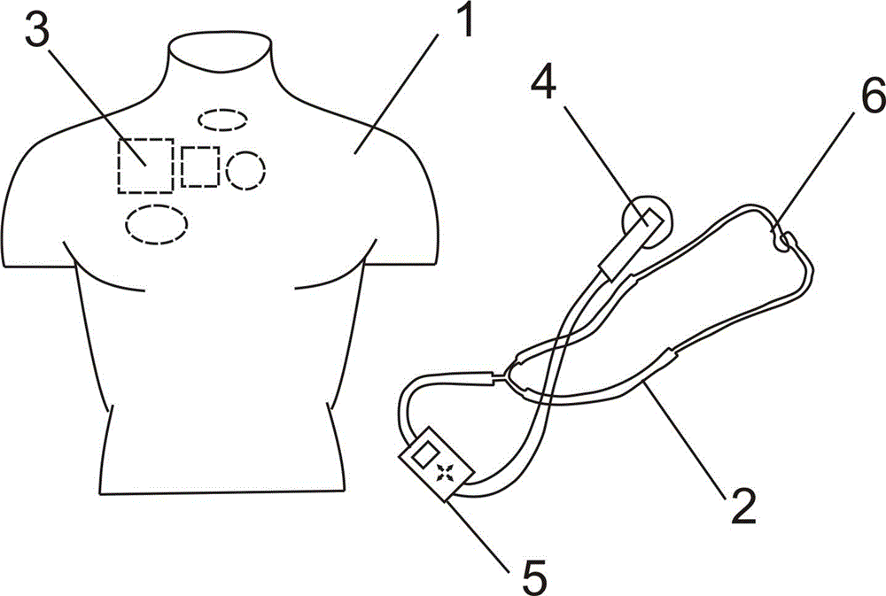 Device for providing positive vital sign for standardized patient