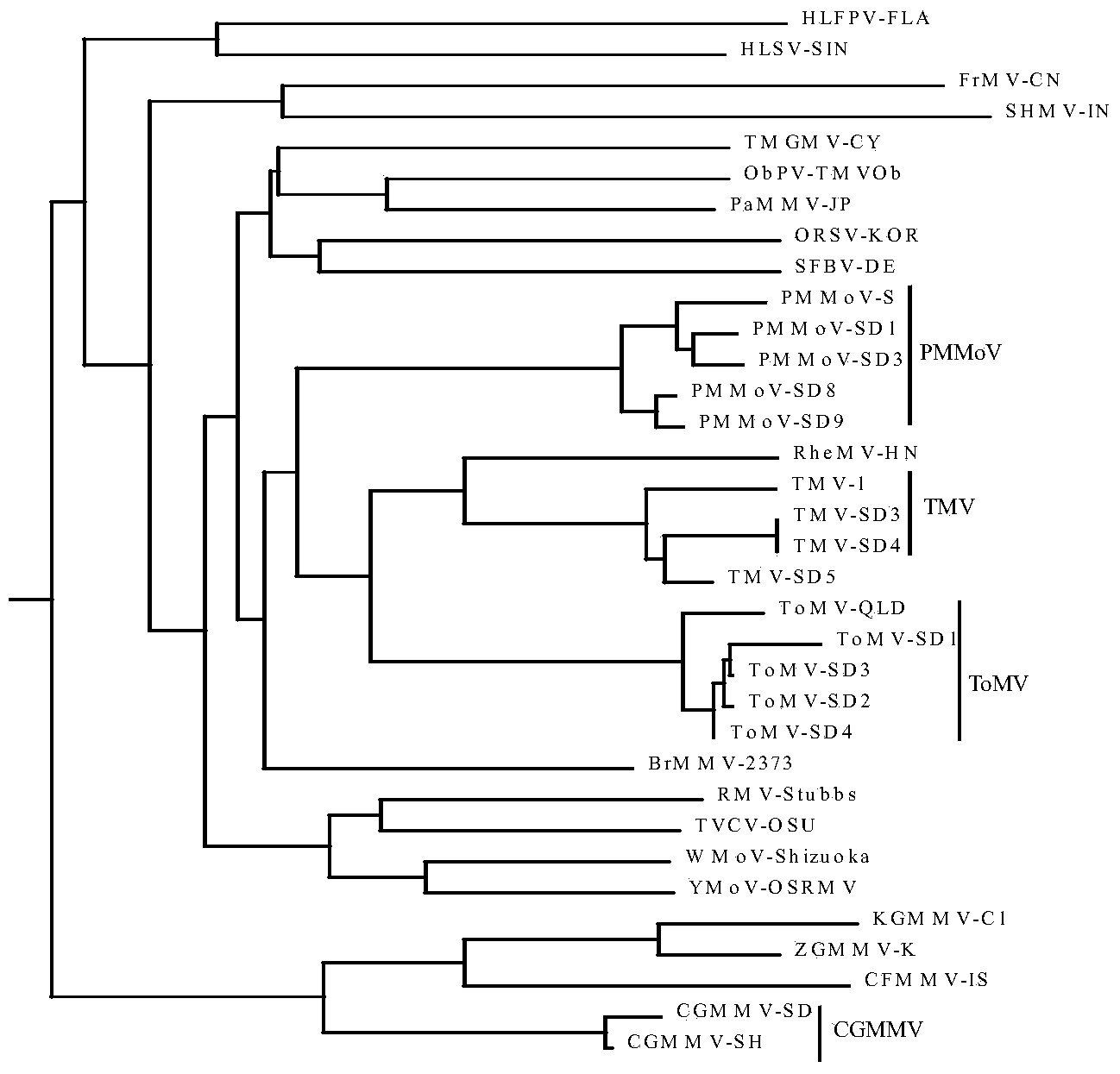 Method for authenticating species of tobacco mosaic viruses and special bar code primer thereof