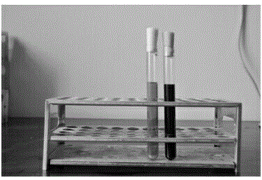 Selective enterococcus enrichment medium