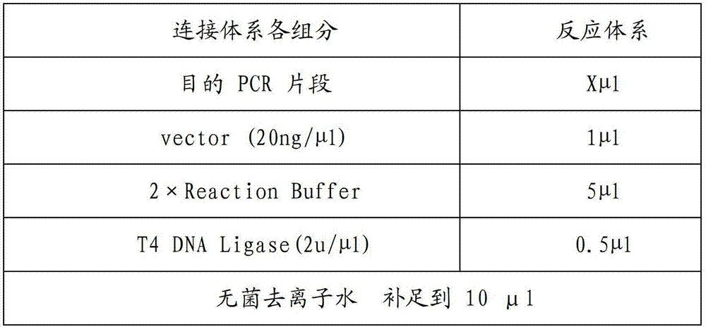 Multifunctional cloning vector and use method thereof