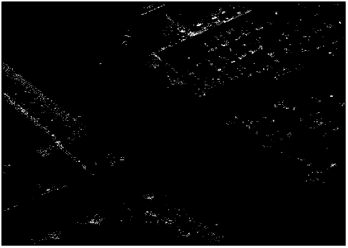 Synthetic aperture radar echo simulator and echo simulation processing method