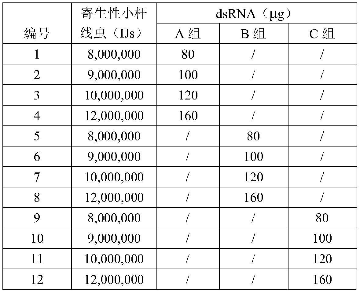 Parasitic small-stem nematode preparation as well as preparation method and application thereof