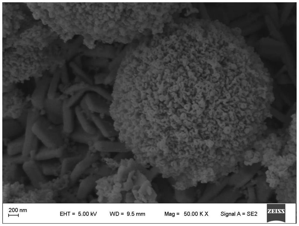 Semiconductor composite photo-anode, production method and application