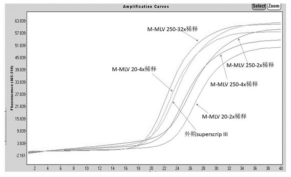 Novel M-MLV reverse transcriptase and application thereof