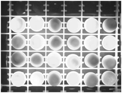 Machine vision selection device and method for infertile eggs in whole tray of hatching duck eggs