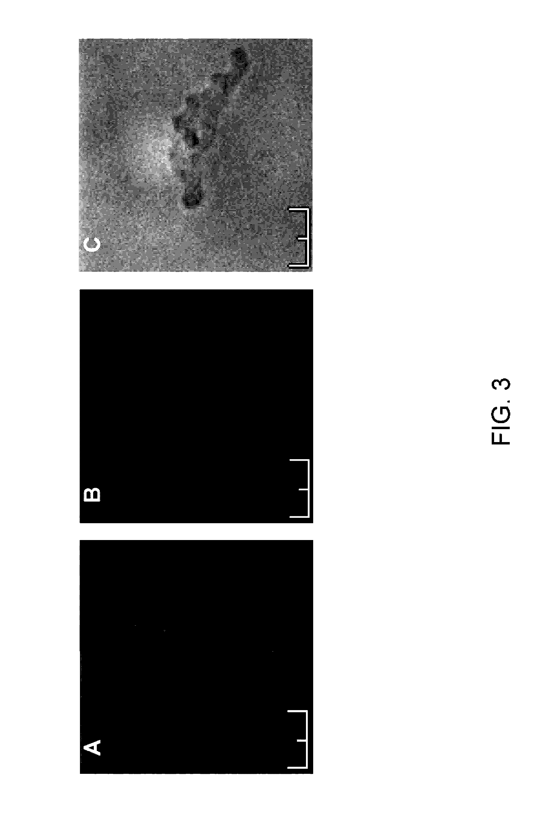 Combination pharmaceuticals and methods thereof using proteinacious channels as treatments for medical conditions