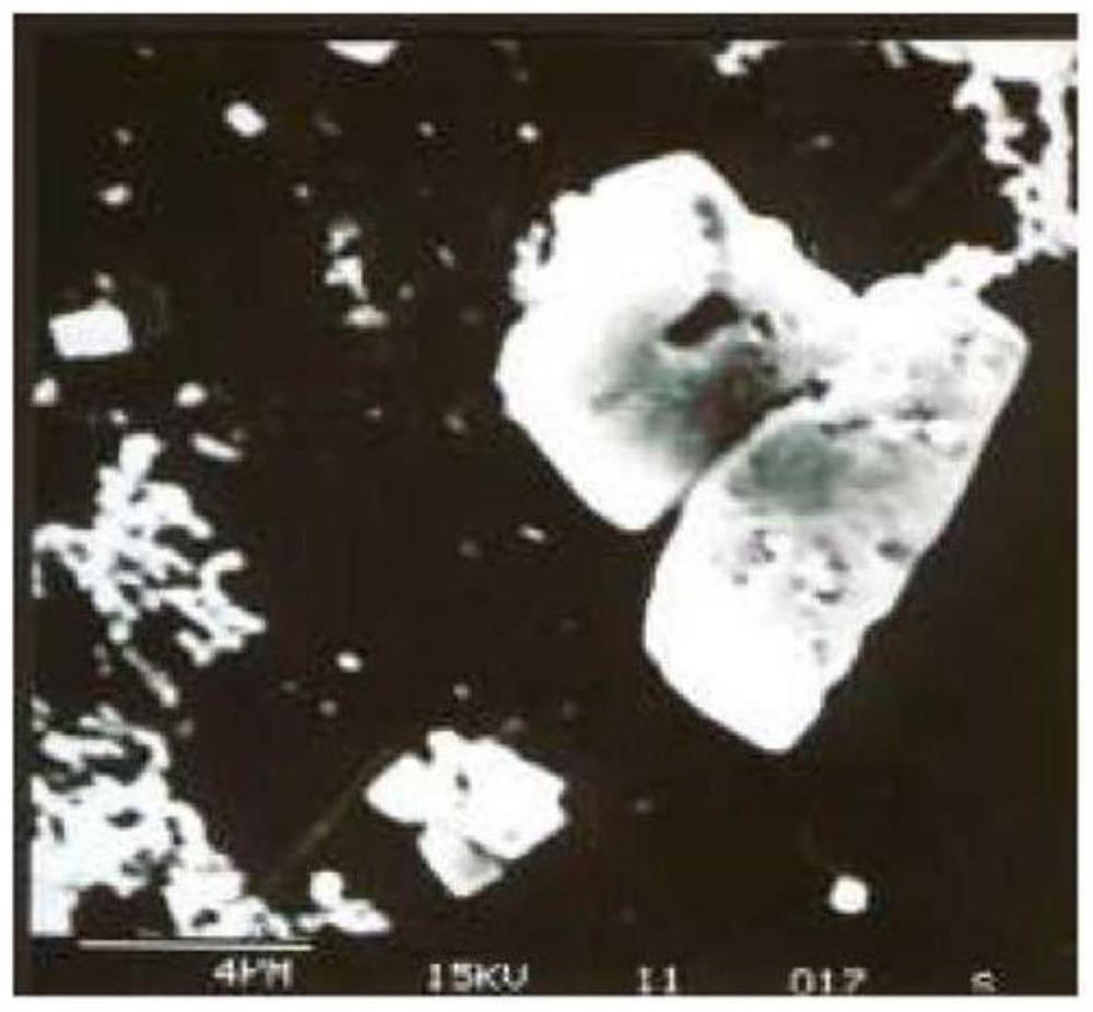 Sterilization and disinfection mask adopting photocatalysis apatite wrapping technology