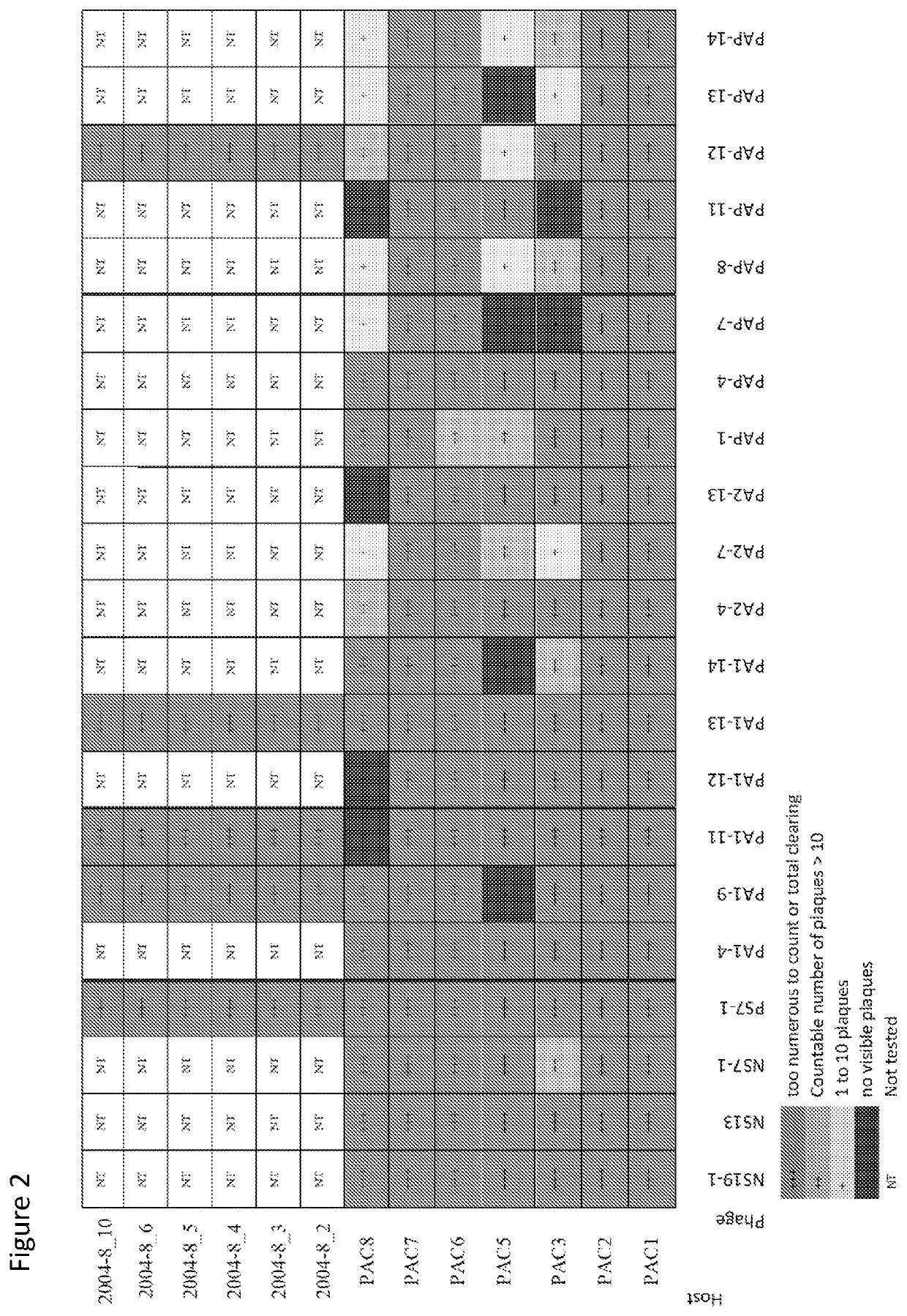 Bacteriophage treatment for acne and biofilms