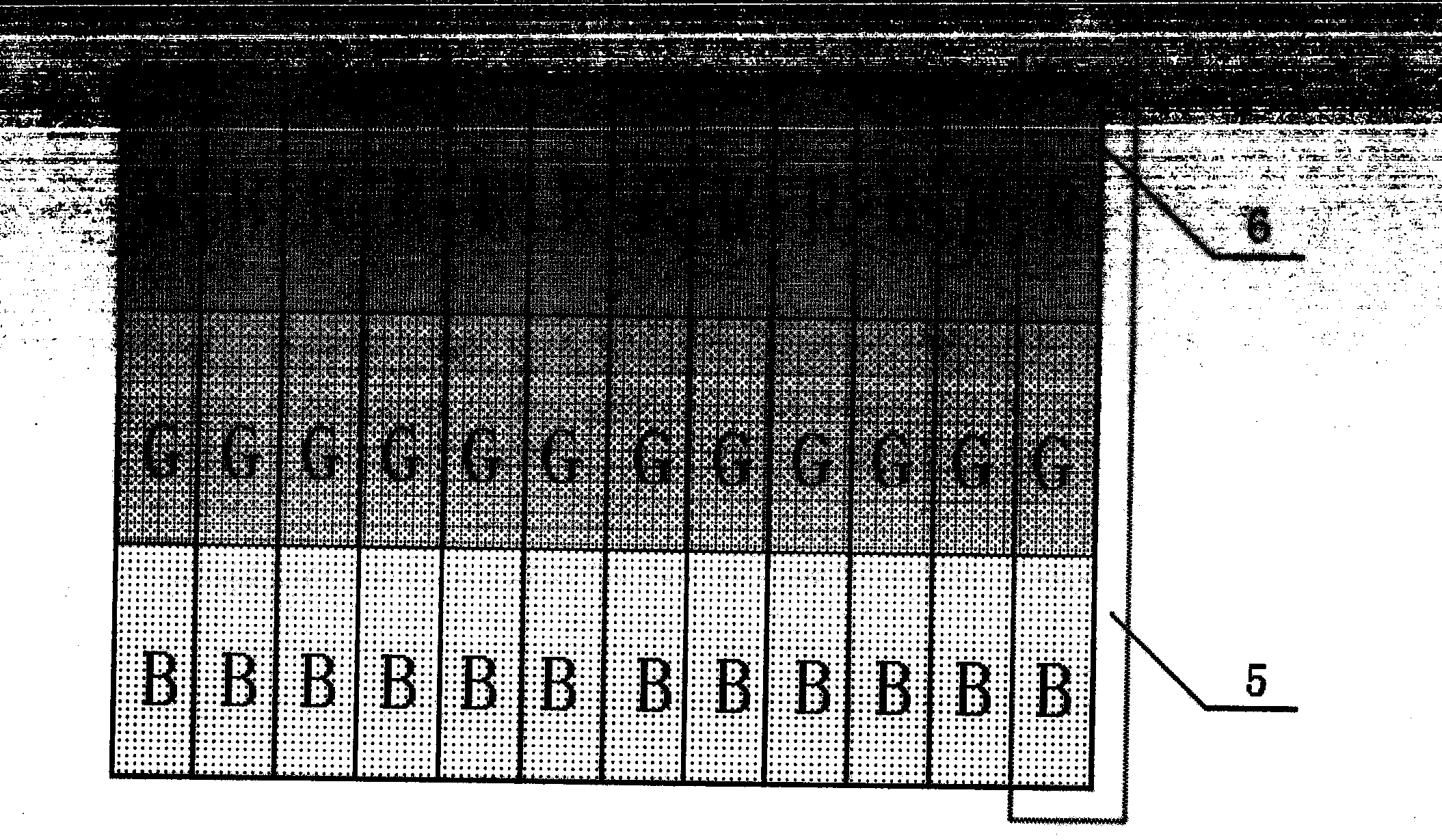 Color laser phototypesetting sheet