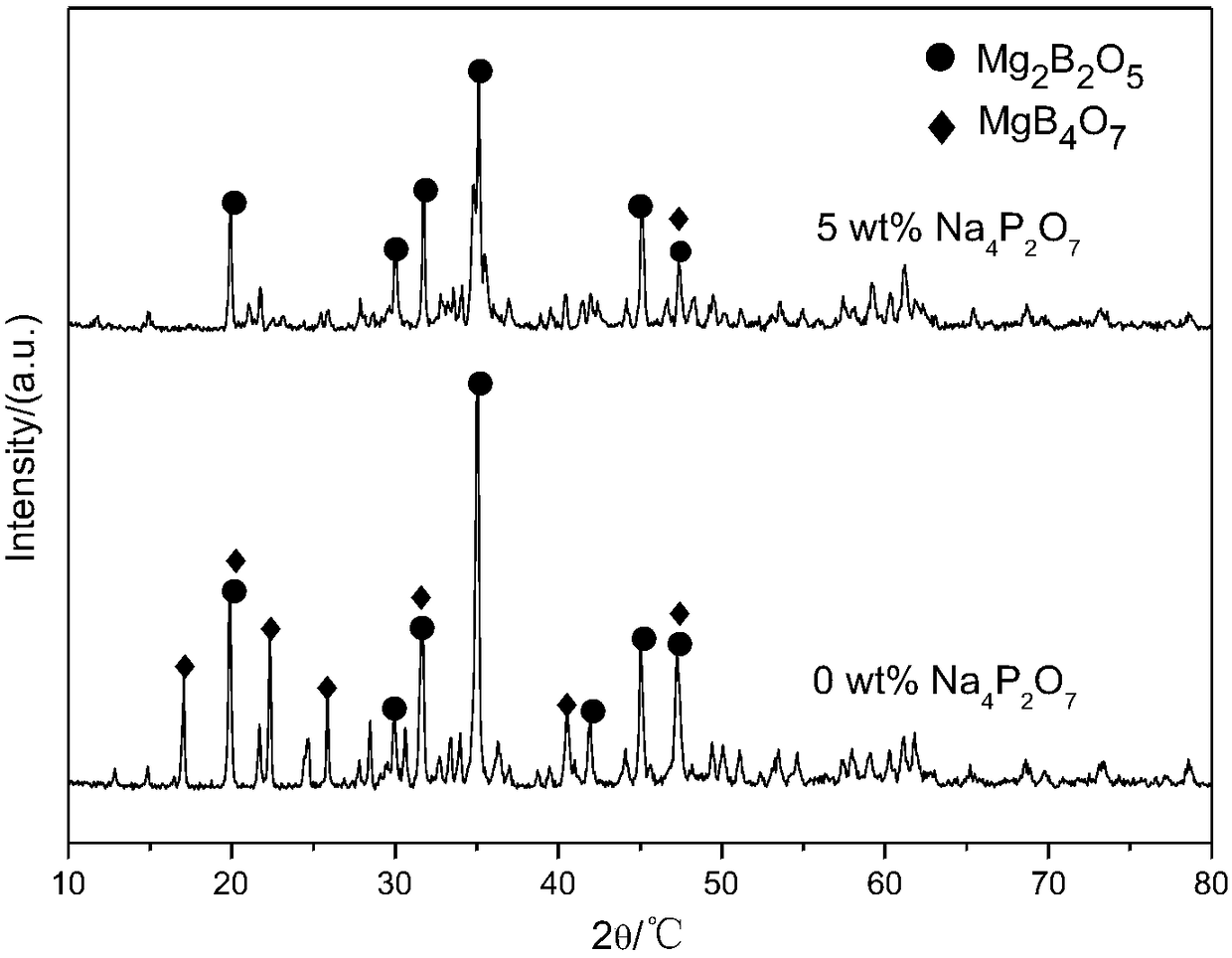 Preparation method for high strength and high porosity in-situ growing magnesium borate whisker ceramic