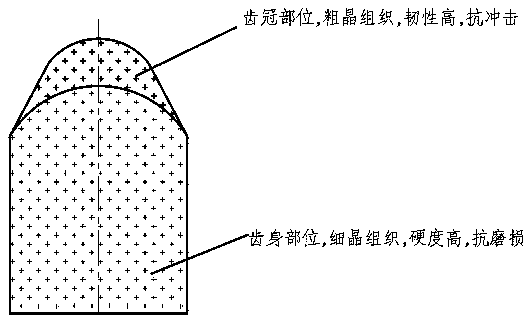 Macroscopic gradient hard alloy conical cylindrical tooth and preparation method thereof