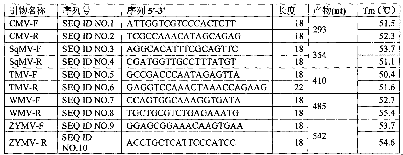 Method for rapidly detecting various viruses of melons