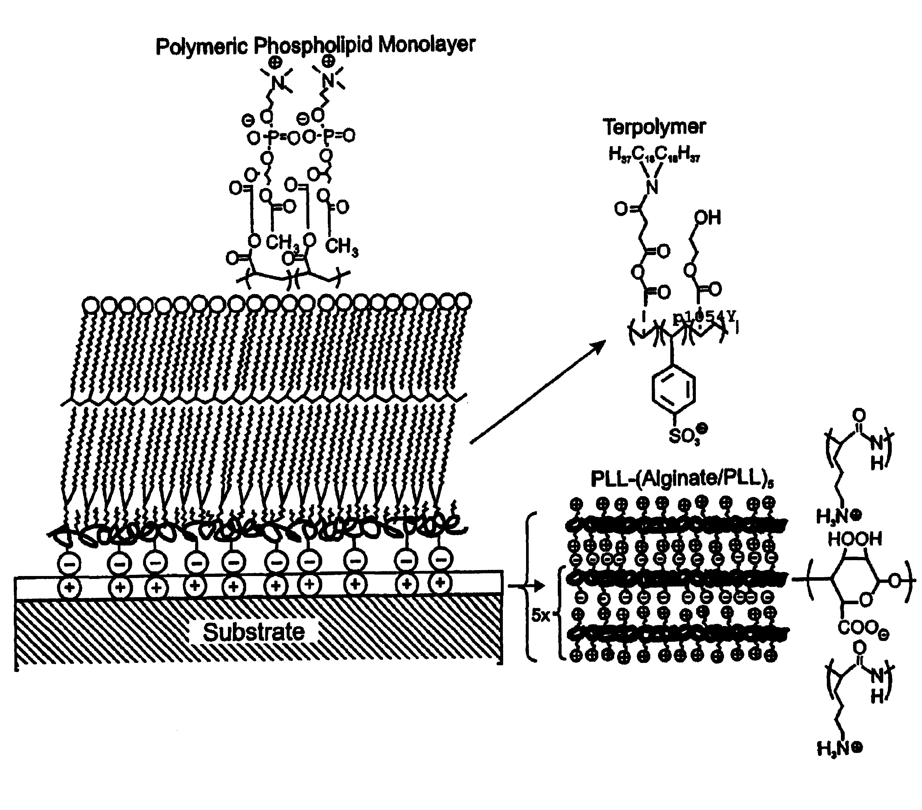 Biological component comprising artificial membrane