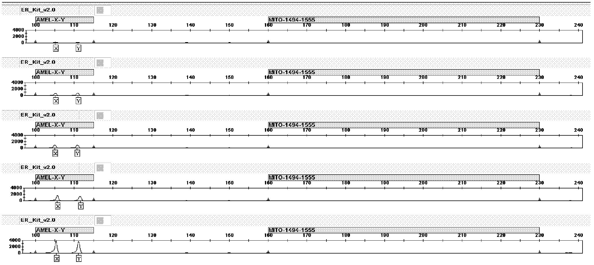 Deafness predisposing gene 12S rRNA (ribosomal ribonucleic acid) 1494C&gt;T fluorescence detection kit and application thereof