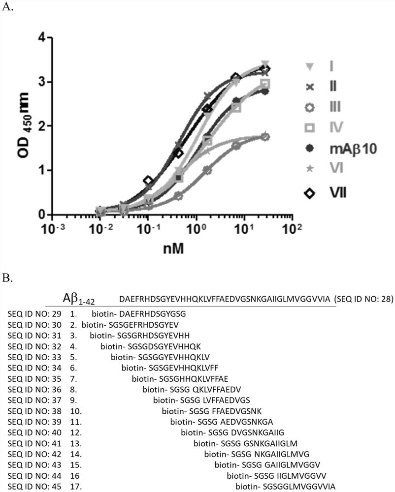 Anti-abeta antibodies and uses thereof