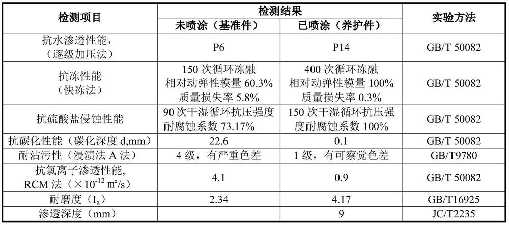 Protective agent for improving self-protection capability of cement concrete in active service and preparation method of protective agent