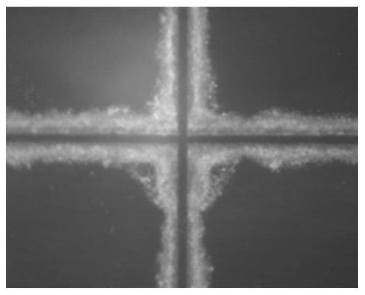 Wafer plasma cutting protection liquid, preparation method and application thereof