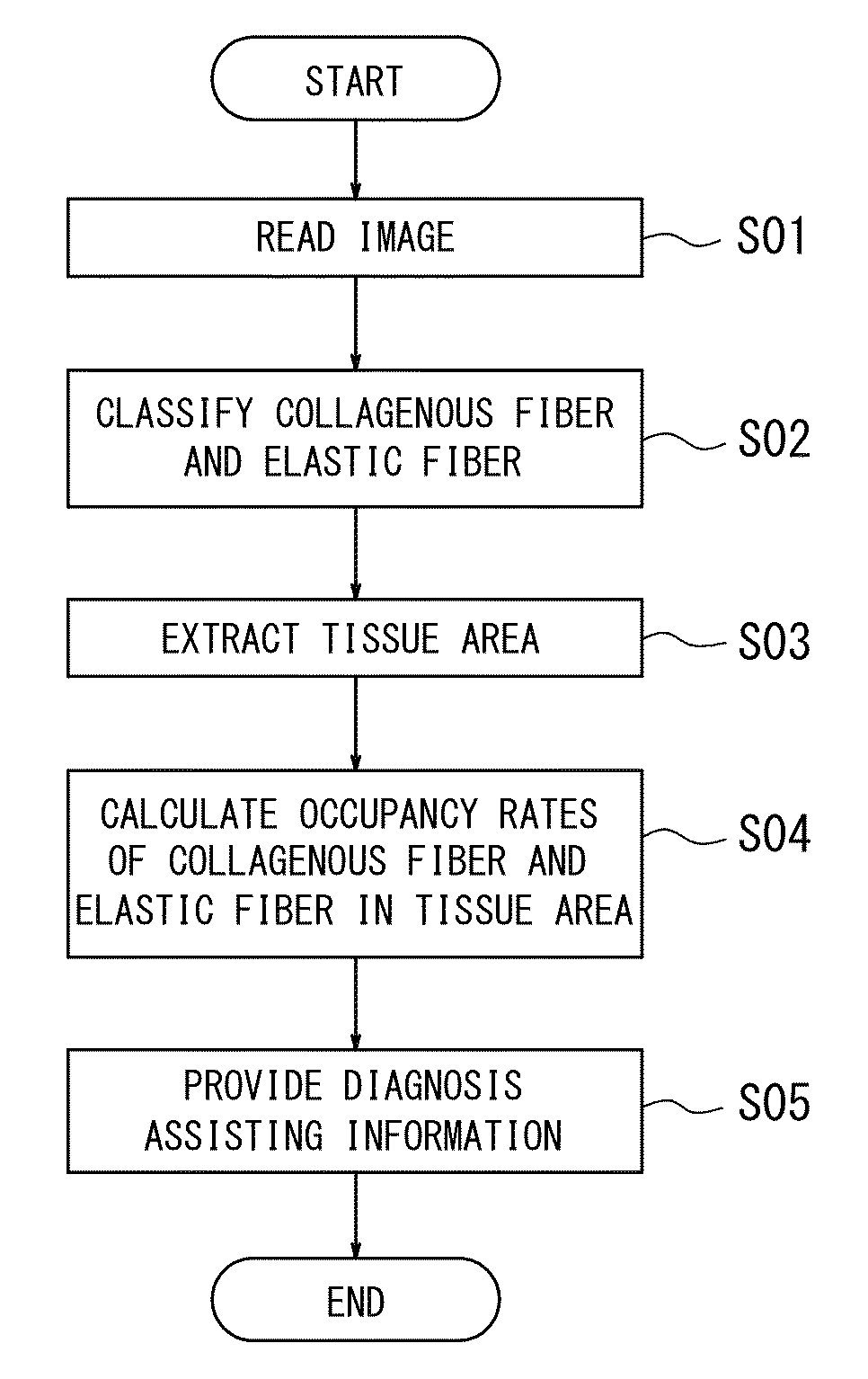 Pathological diagnosis assisting apparatus, pathological diagnosis assisting method and non-transitory computer readable medium storing pathological diagnosis assisting program