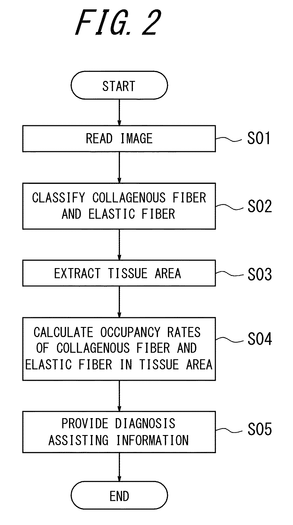 Pathological diagnosis assisting apparatus, pathological diagnosis assisting method and non-transitory computer readable medium storing pathological diagnosis assisting program