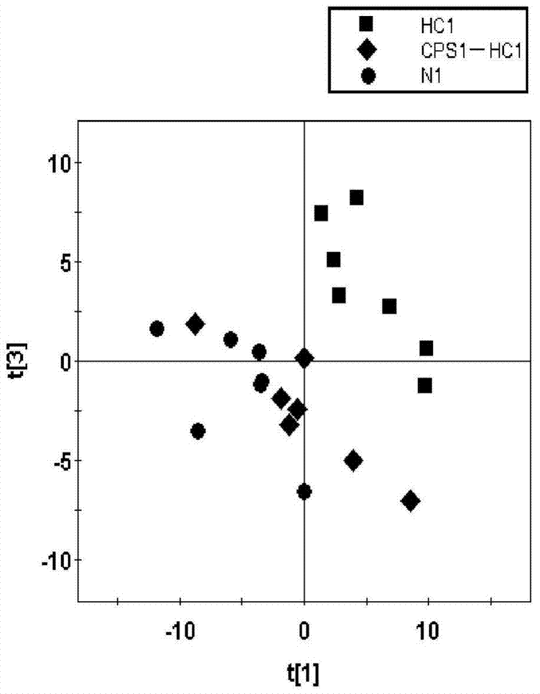 Astragalus polyaccharin and lycium barbarum polysaccharide composition as well as preparation method and application thereof