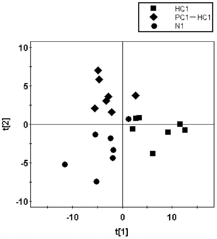 Astragalus polyaccharin and lycium barbarum polysaccharide composition as well as preparation method and application thereof